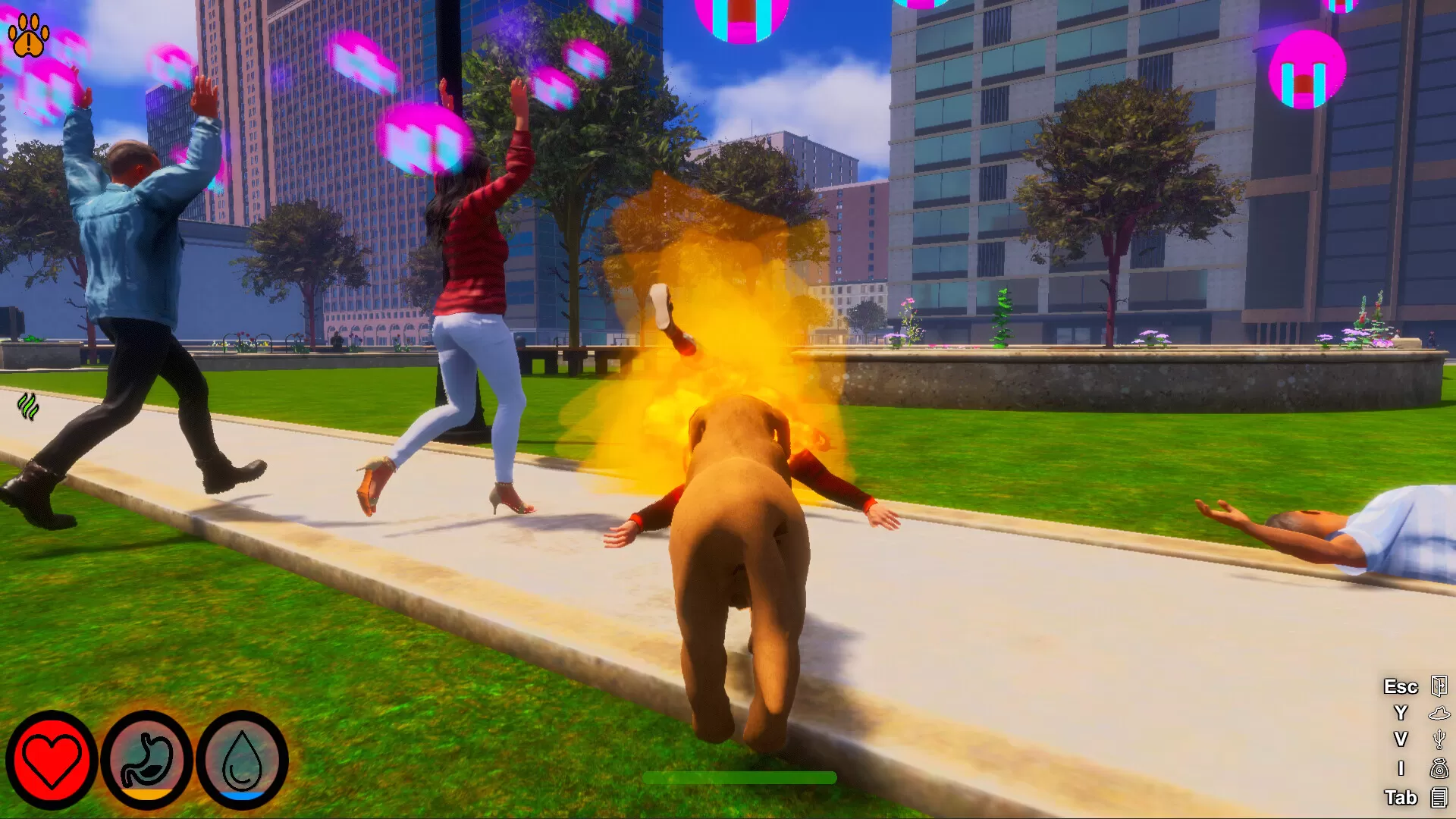 迷途狗爪/Lost Paws 迷途狗爪/Lost Paws