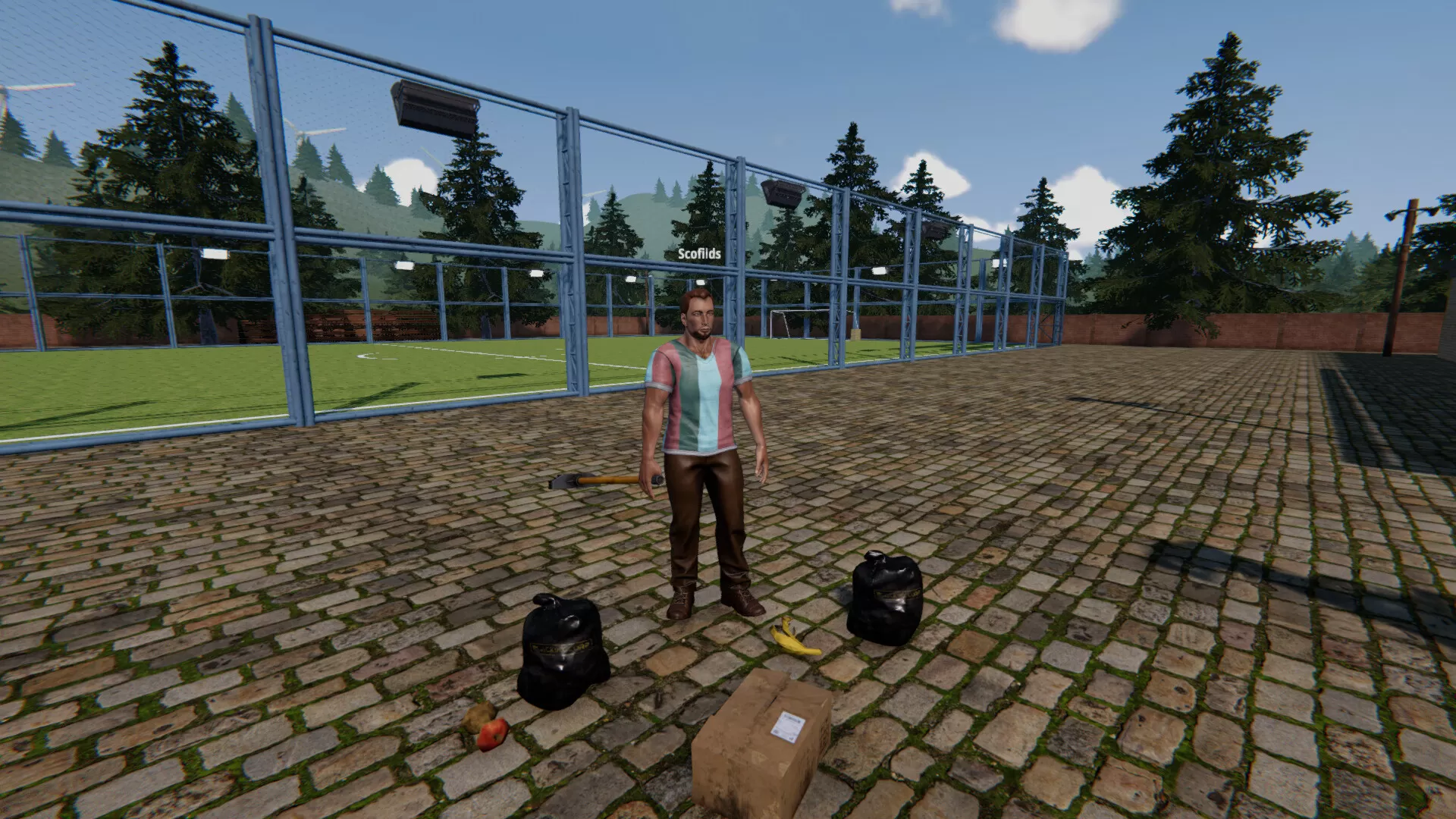 足球场模拟器/Football Pitch Simulator