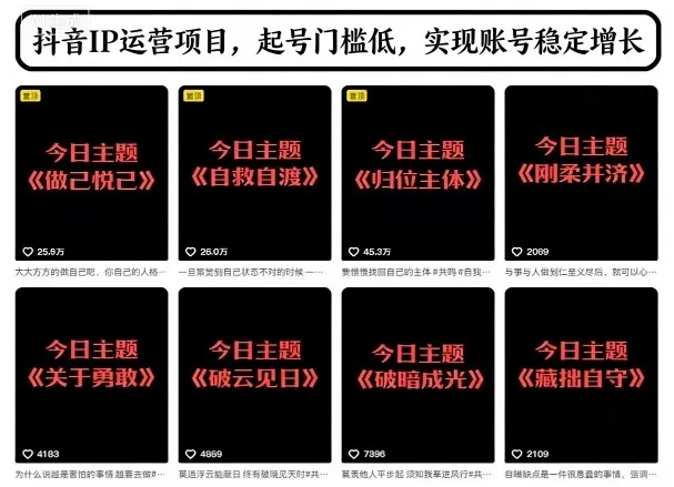 抖音IP运营项目,抖音今日主题玩法,起号门槛低,实现账号稳定增长-互为学习资料库