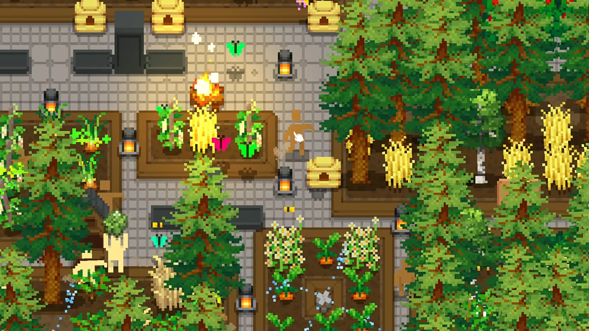 小梯田/Tiny Terraces