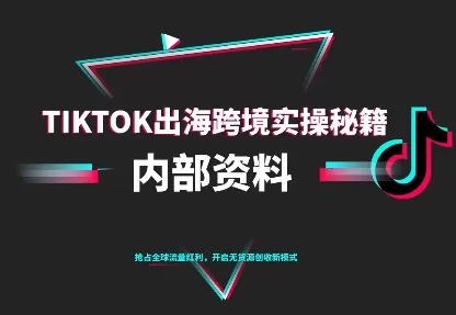 TikTok跨境电商0-1搭建运营(更新10月)